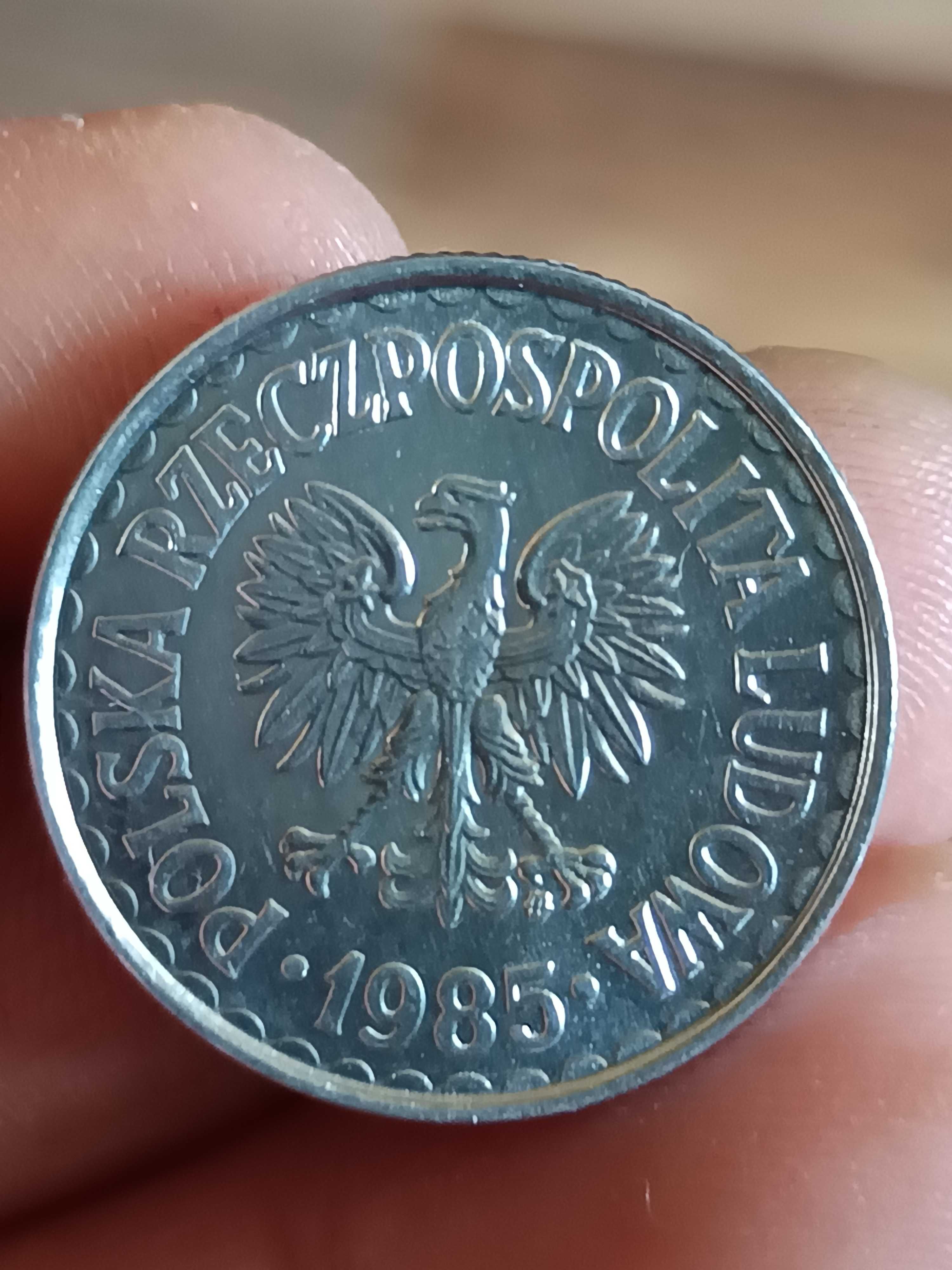 Sprzedam monete 1 zloty 1985 rok