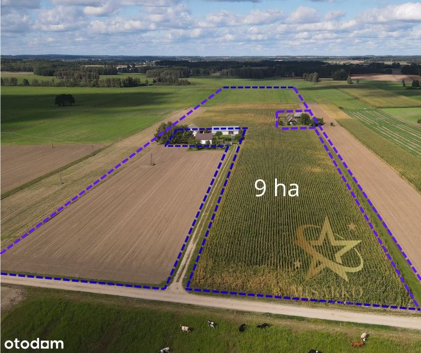 Ziemia rolna Grądy k/Knyszyna 9 ha