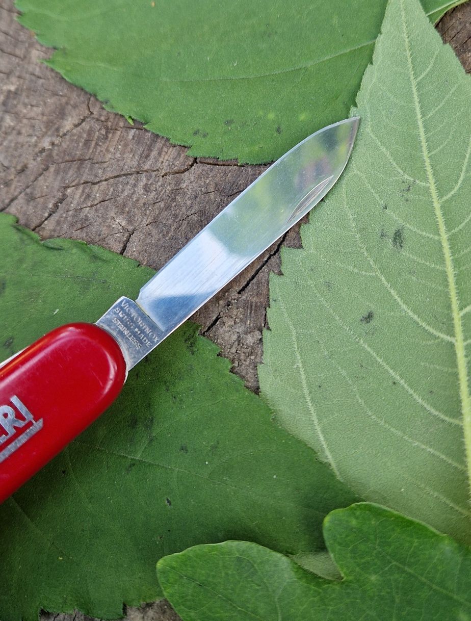 Scyzoryk Victorinox Mountaineer PEri 1.3743 szwajcarski multitool