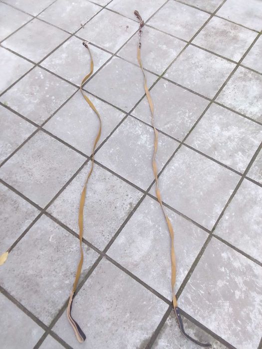 Ошейник + поводки для собаки (комплект)