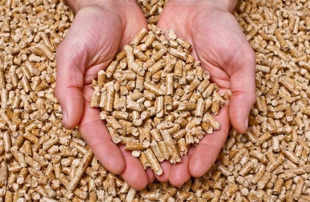 Nowy ŻWIREK DLA KOTA XXL Królika Chomika Drewniany Naturalny (OKAZJA)