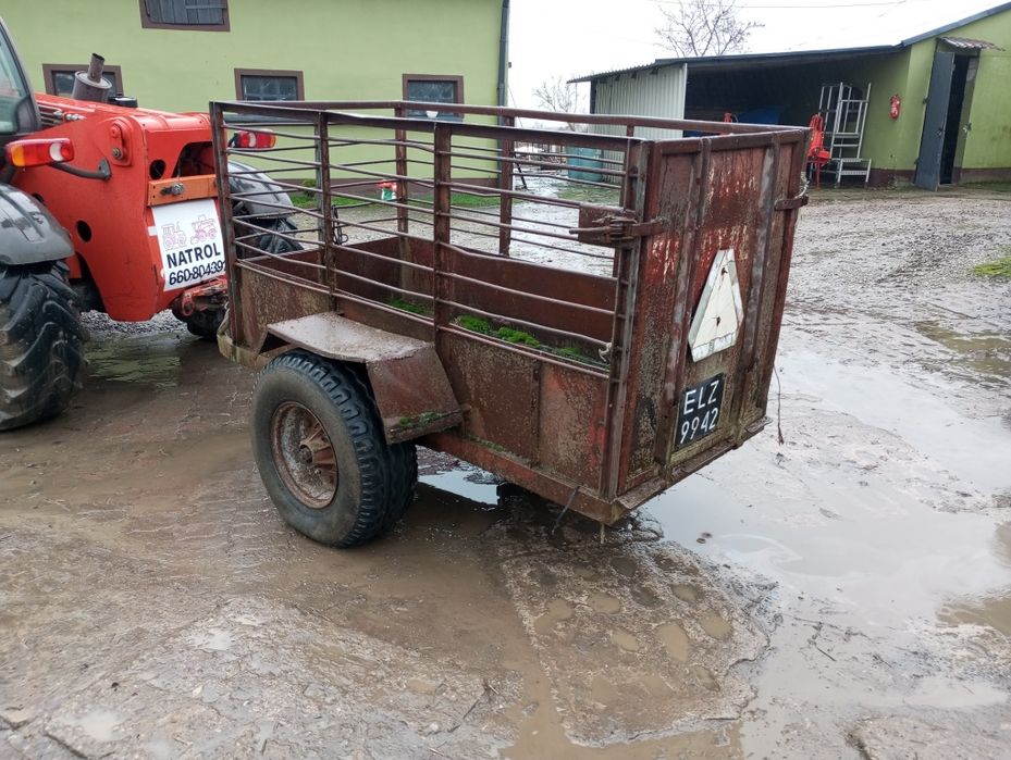 Przyczepka do przewozu zwierząt (rejestrowana)