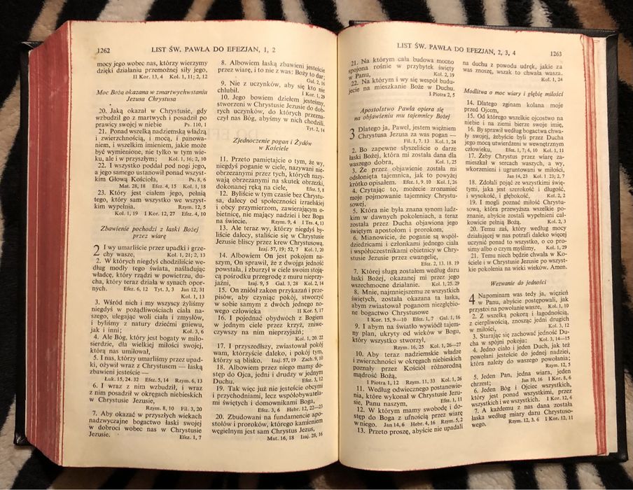 Biblia Pismo Święte Starego i Nowego Testamentu