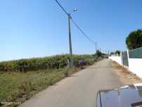 Espectacular Terreno em Tonce - Loureiro