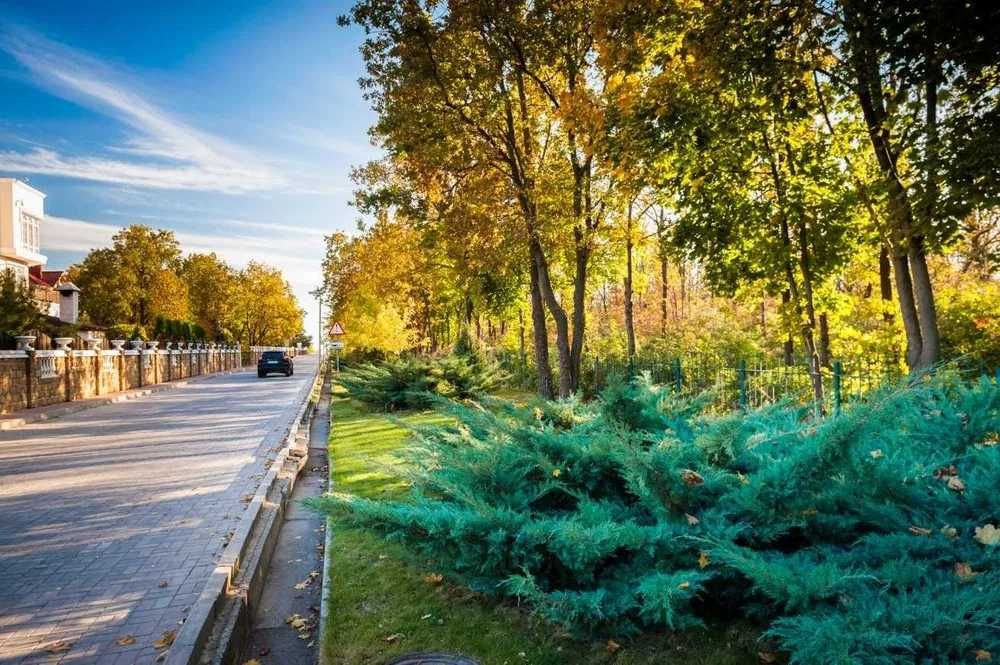 Шикарная 1к жк Авторский. Первая линия от моря!