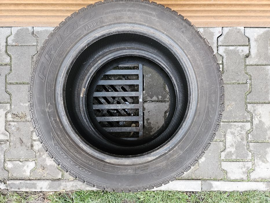 Opony zimowe Dębica 205/55R16