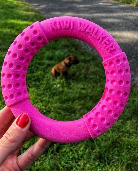 Ring dla psa do zabawy na lądzie i w wodzie Kiwi Walker 13,5cm Różowy