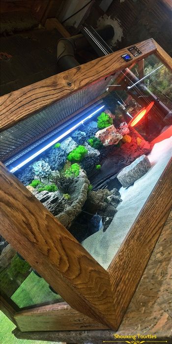 Terrarium z drewna dębowego