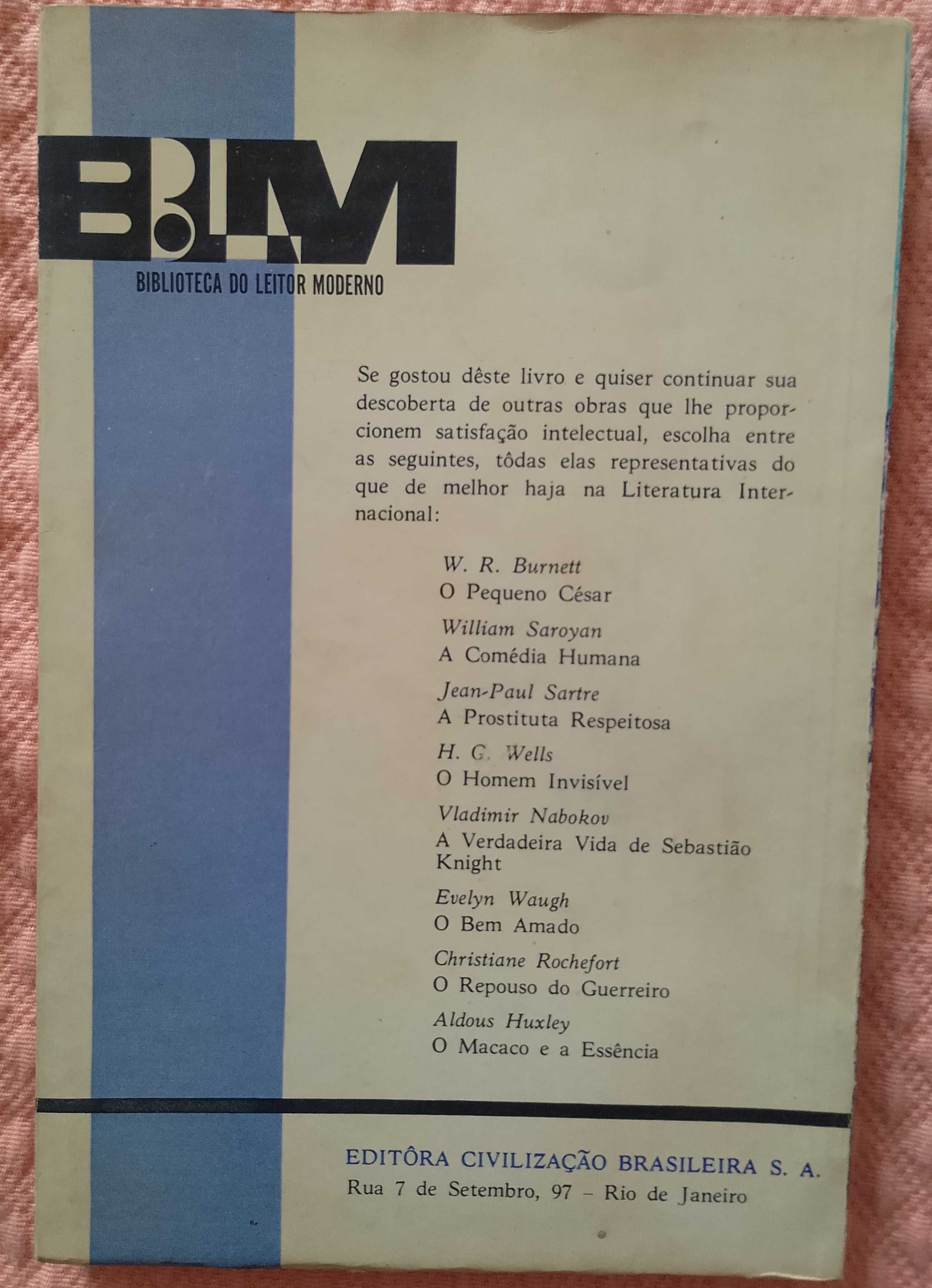 Um seixo solitário, John Hersey