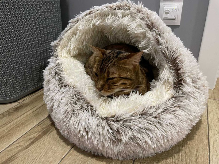 Домик для щенков и котиков до (4кг/6кг).