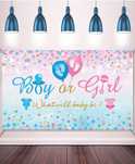 Fundo Baby Shower / Chá de Revelação Bebé