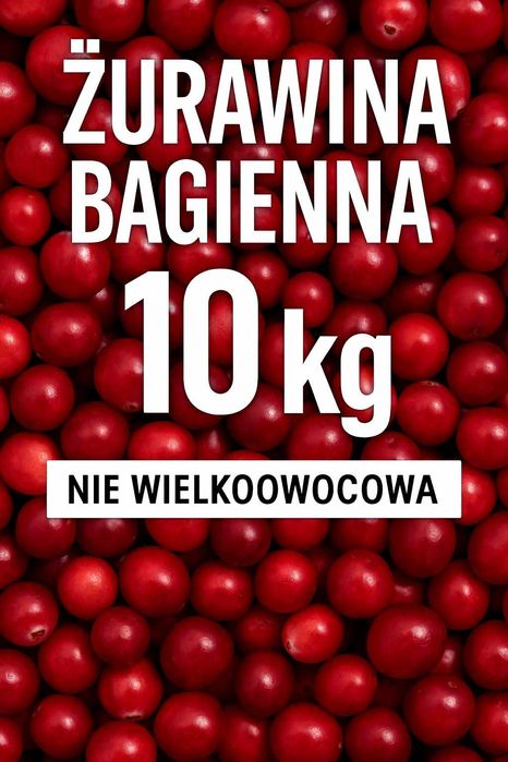 Żurawina leśna bagienna 18zł/l – świeża– opak. 10 kg/19 litrów