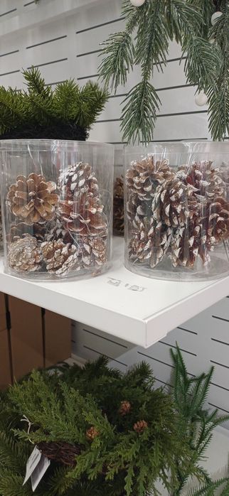 Шишки лесные на подарок или как декор