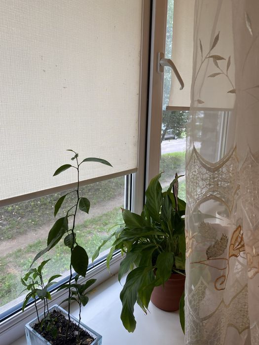 1 кімнатна квартира , Вигідна пропозиці