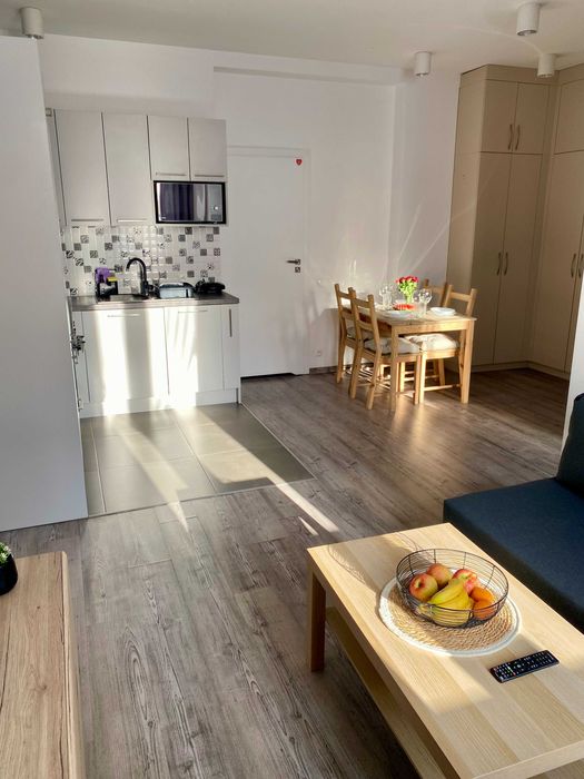 Noclegi w centrum Konina, Apartament Konin