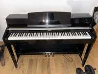 Pianino elektroniczne CASIO AB-6BPV