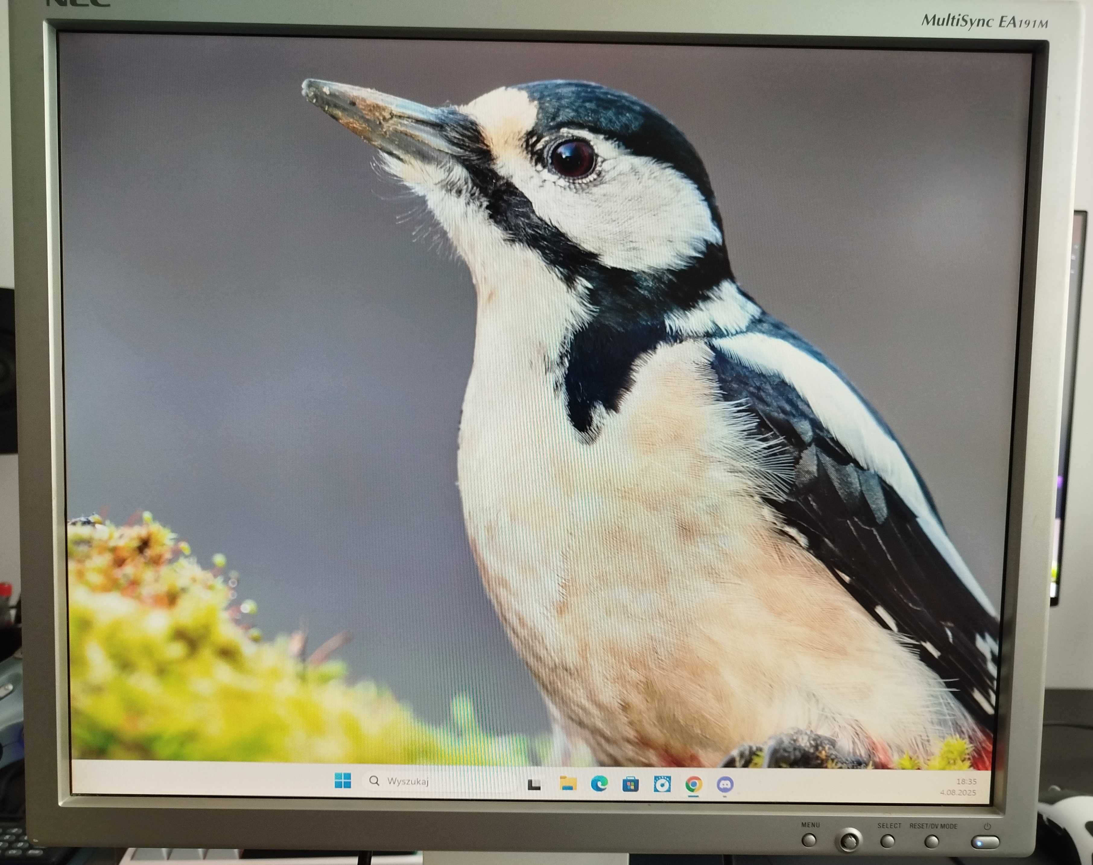 Monitor LCD NEC EA191M 19 cali 75Hz 1280x1024