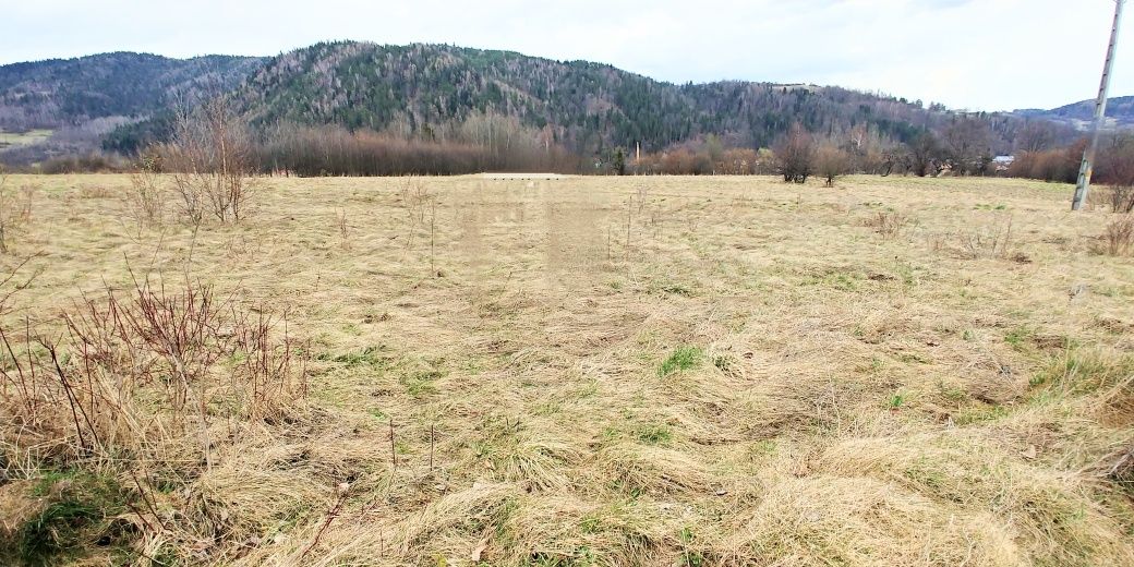 Kamienica pow.Limanowa Sprzedam działkę.