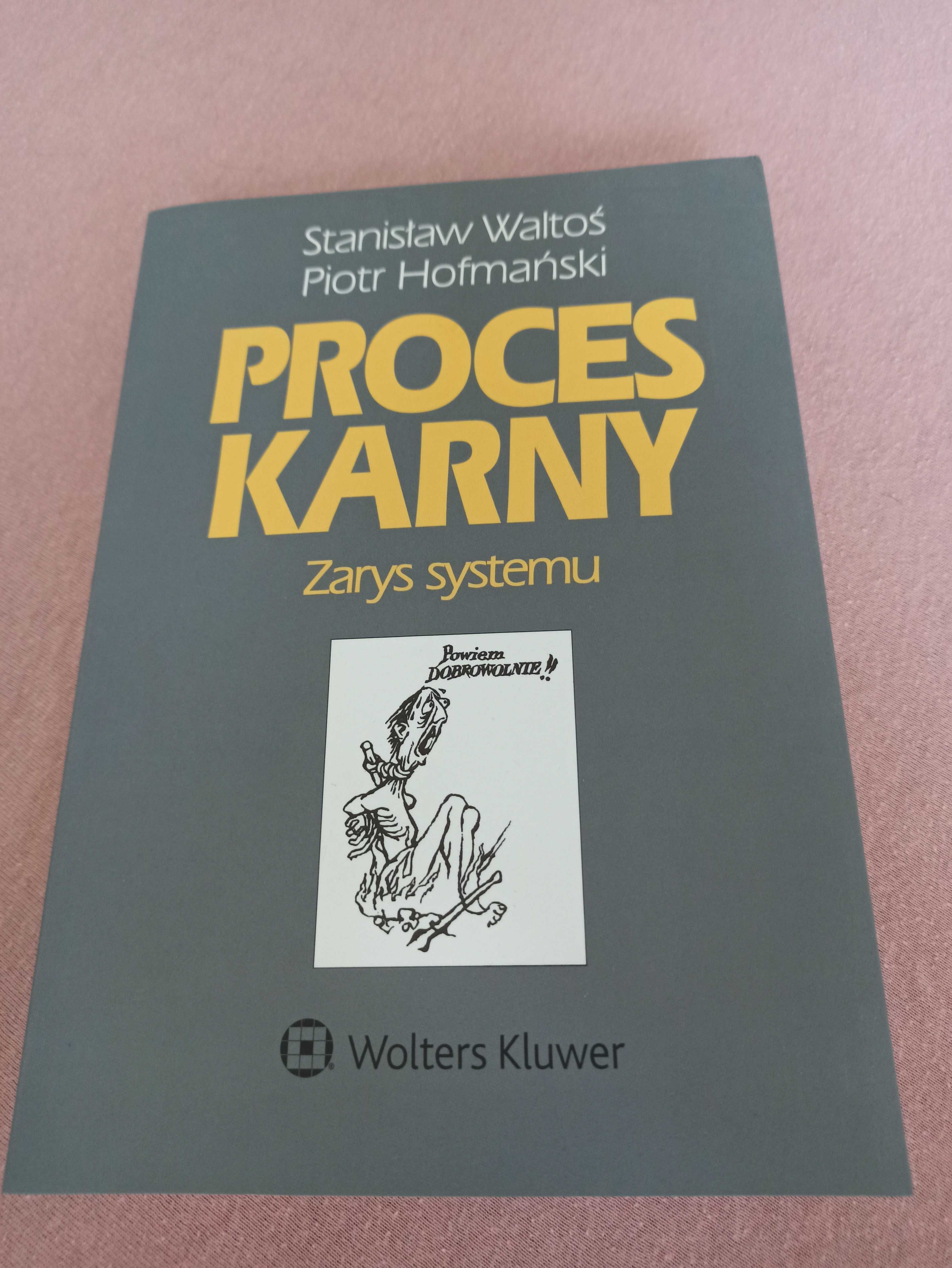 Proces karny zarys systemu