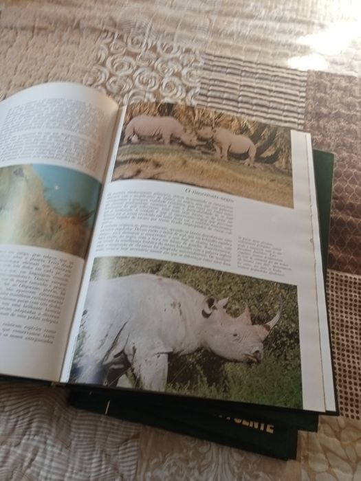 Livros de coleção aventura da vida