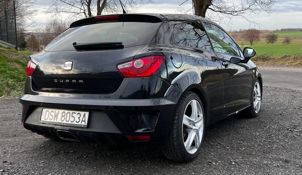 Seta Ibiza Cupra