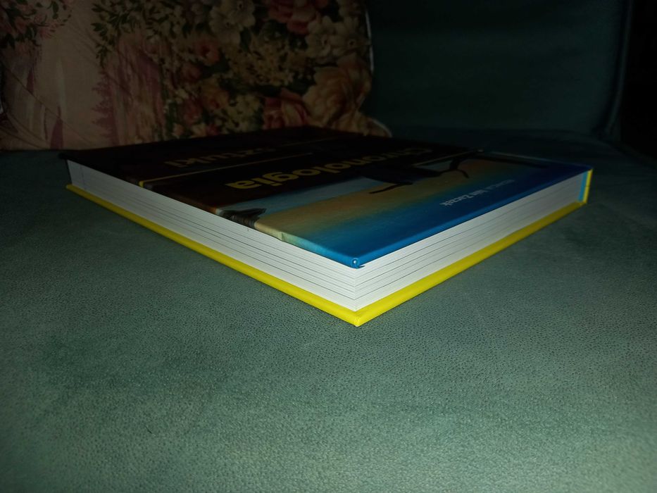 Chronologia sztuki oś czasu kultury zachodniej Iain Zaczek Arkady