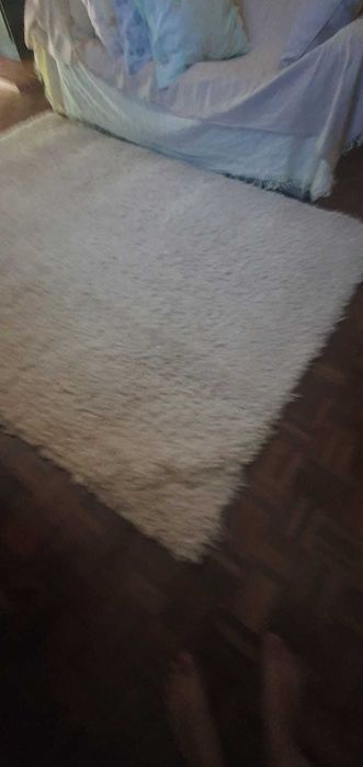 Tapete AREA 3 metros- lavado e desinfetado