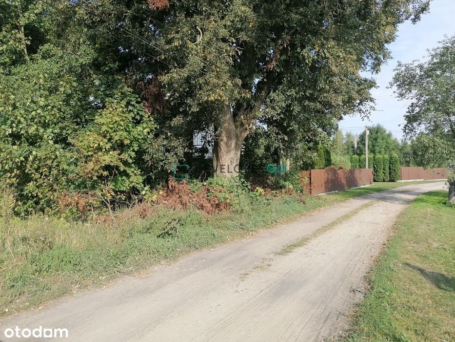 Atrakcyjna działka dla miłośników przyrody