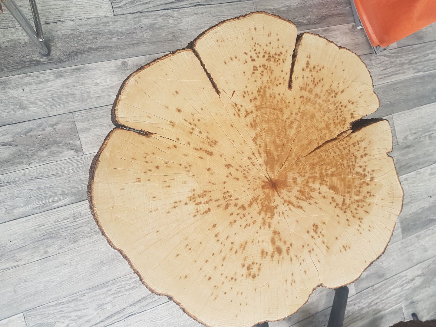 Stolik z plastra drzewa