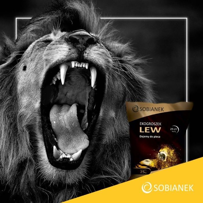 groszek premium SOBIANEK LEW cena  1599 ZŁ