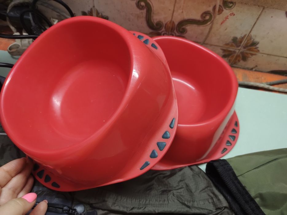 Conjunto casacos cão