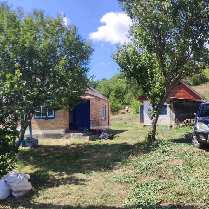 Продається будинок в селі Петрушки Черкаська область.