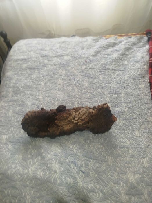 Tronco para Terrários