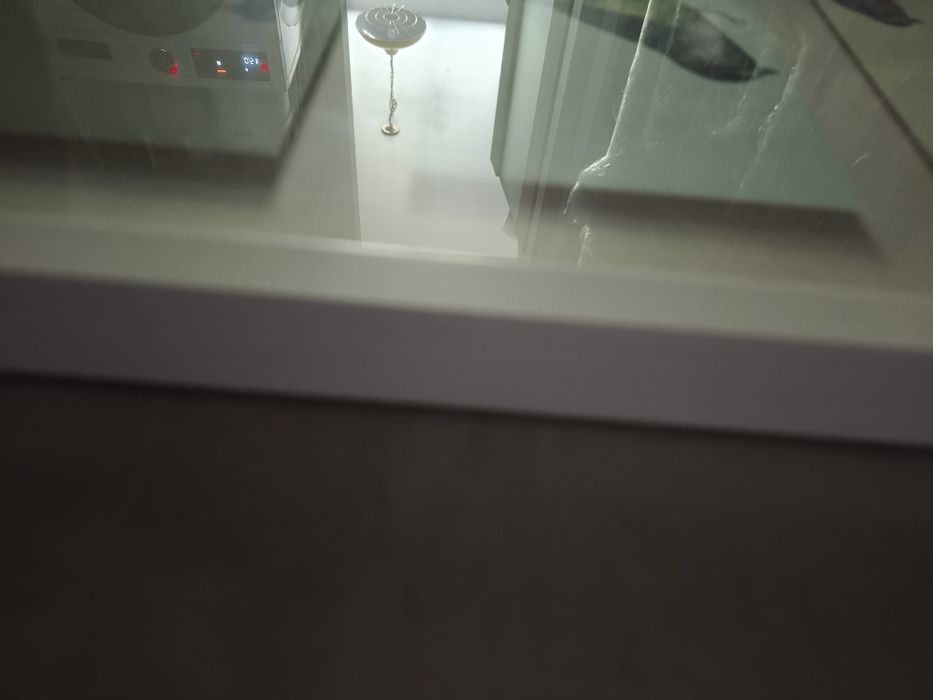 Obraz ptaki w ramie ikea