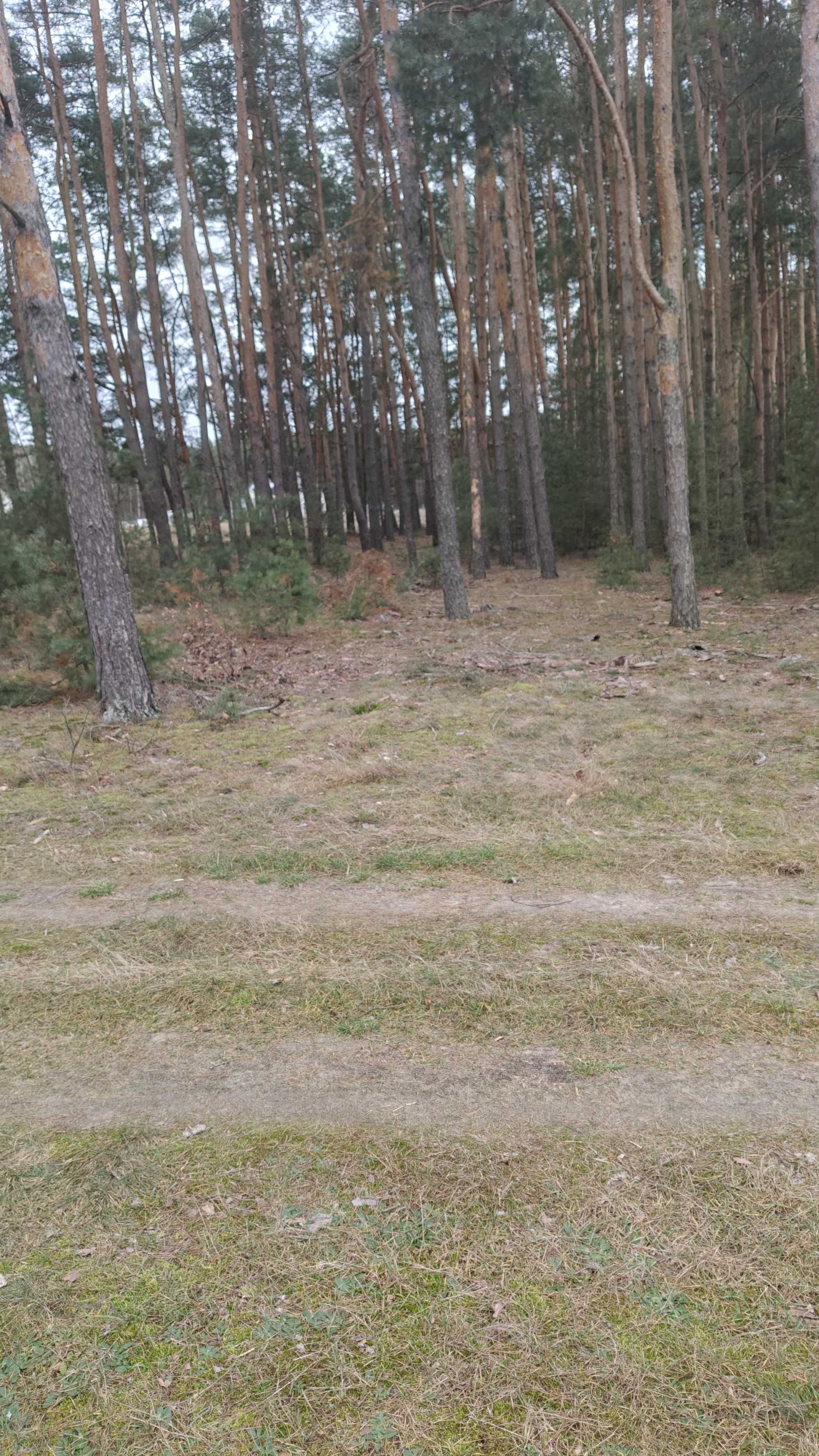 Działki budowlane w Świniotopi