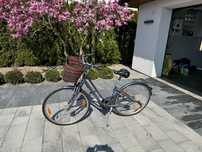 Rower damski giant liv