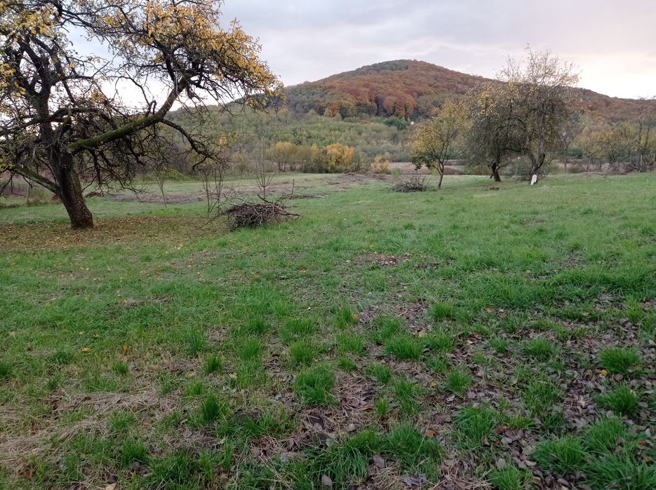 Земельна ділянка недалеко від Ужгорода, с. Глибоке