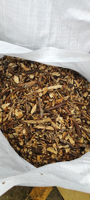 Zrębka zrębki orzech czysta bez ziemii i śmieci