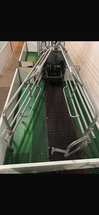 Обладнання для свинарства