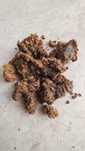 Kit pszczeli (propolis)
