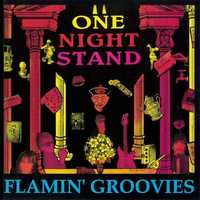 Flamin' Groovies - One Night Stand [CD]
