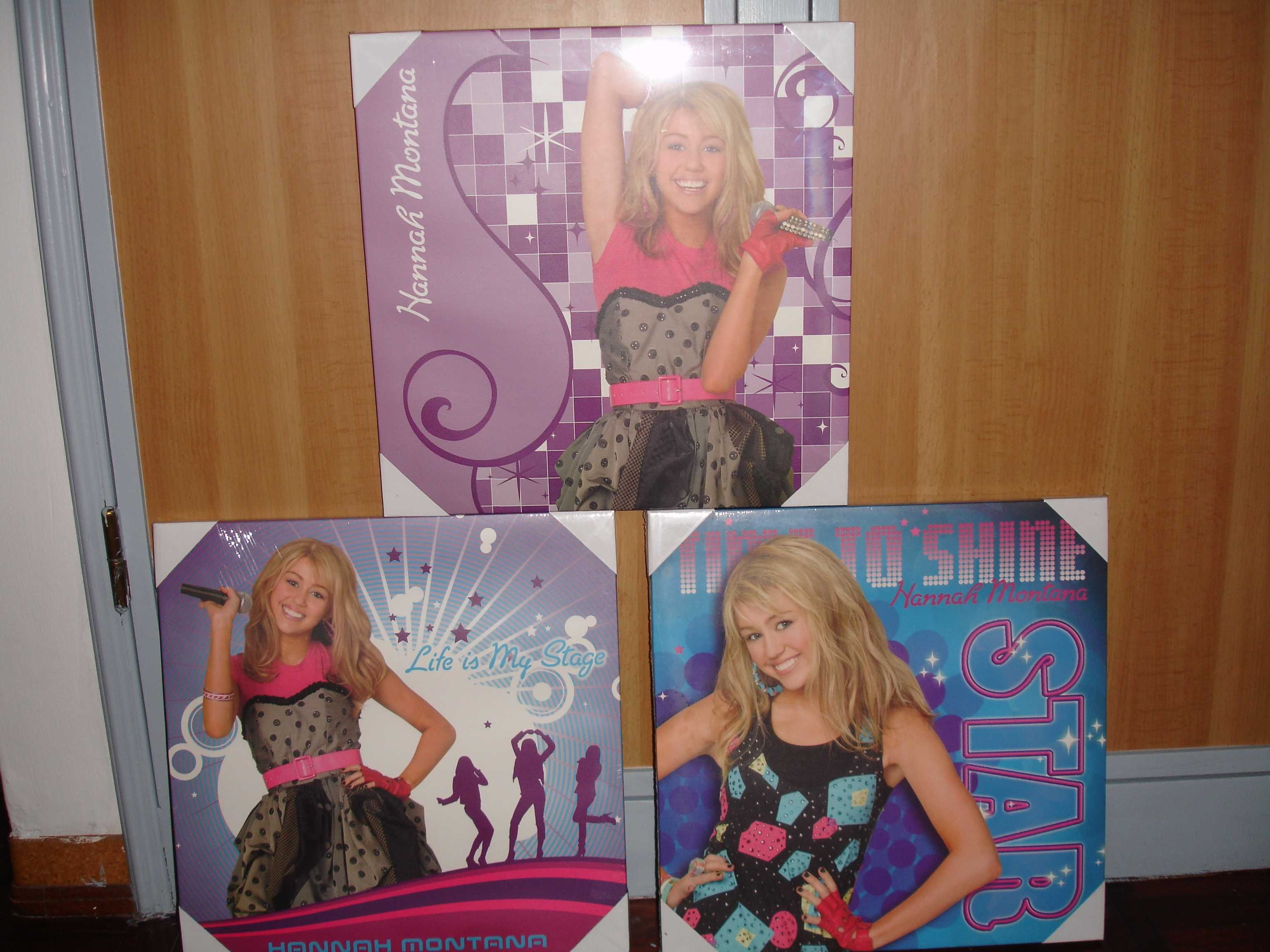 3 Quadros em Tela Hanna Montana Novos