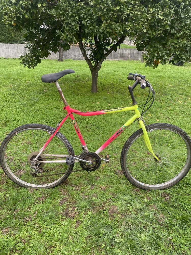 bicicletas duas boas