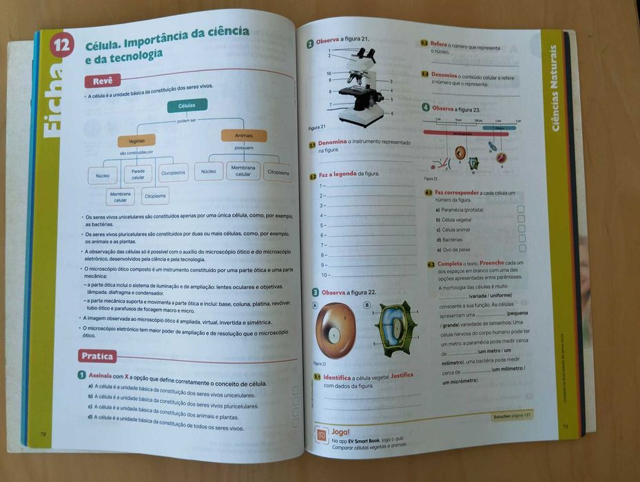 Livro com fichas de Revisão para o 5º ano NOVO