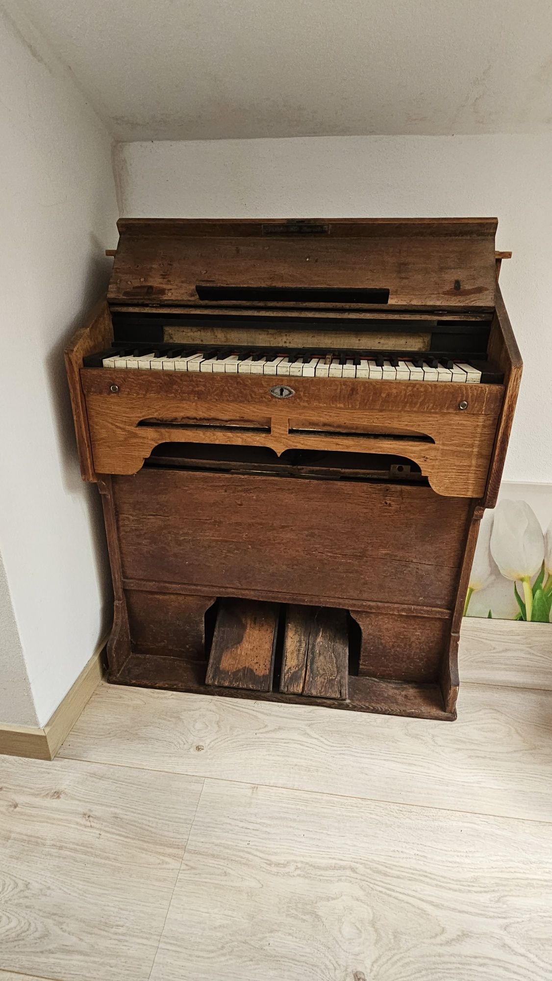 Harmonium antigo  de foles