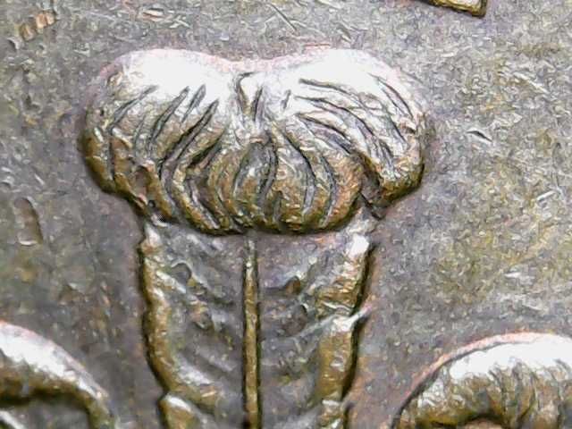 New Pence 1981 Rzadka