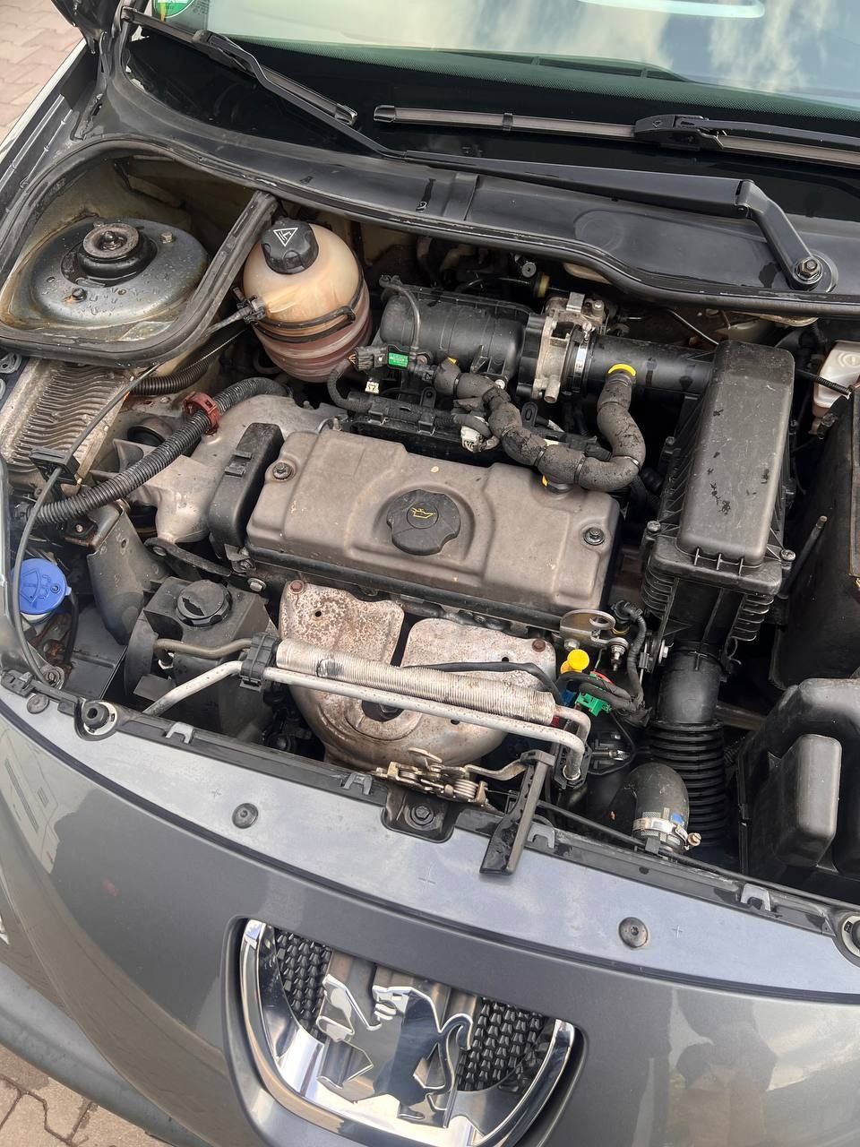 Peugeot 206+ 1.4 бензин