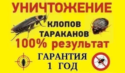 уничтожение тараканов клопов знищення тарганiв клопiв виведення