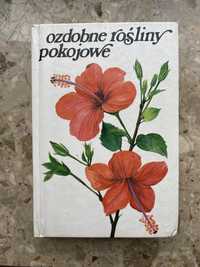 Ozdobne rosliny pokojowe 1977r