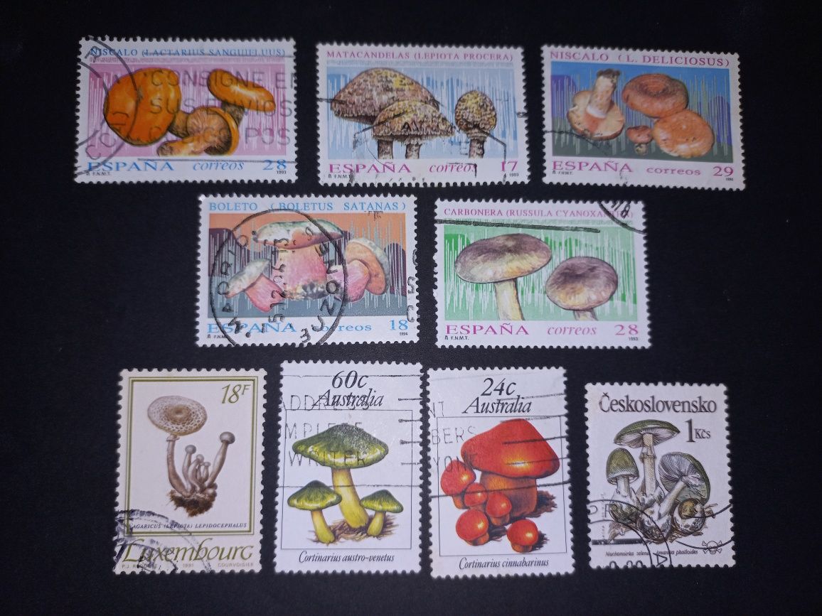 selos só fauna e flora